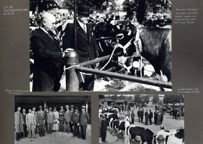 223088 Bladzijde met drie foto's van de Veetentoonstellingen te Utrecht van 10 tot en met 12 september 1935 te op het ...